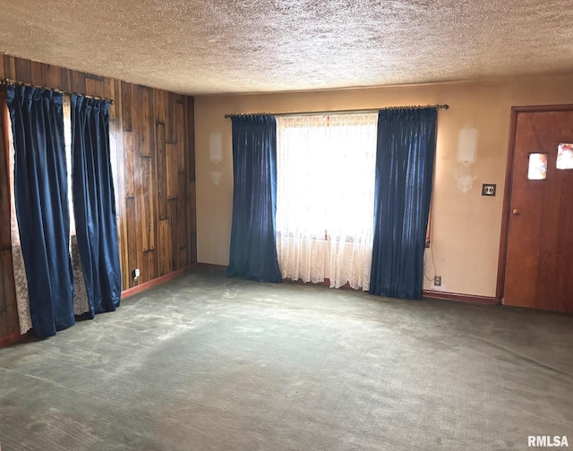 interior space with carpet floors, wood walls, and a textured ceiling