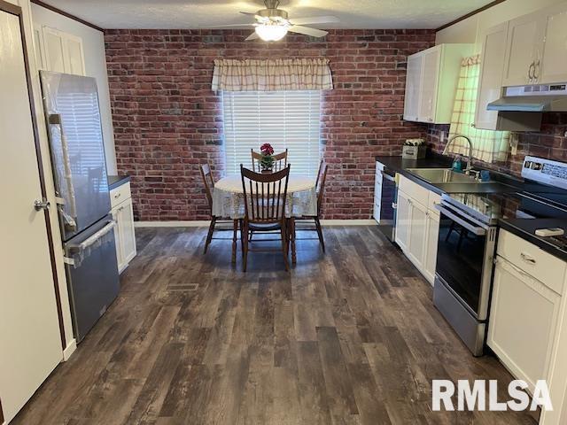 24555 Rock Springs Hollow Rd, Thebes, IL 62990 - kitchen featuring stainless steel appliances, under cabinet range hood, dark countertops, a sink, and plenty of natural light