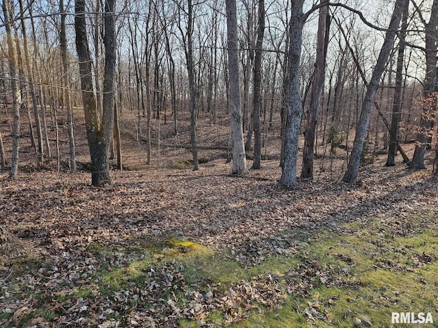 Listing photo 2 for LOT2 E Whipporwill Rd, Mount Vernon IL 62864