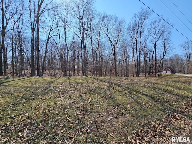 Listing photo 3 for LOT2 E Whipporwill Rd, Mount Vernon IL 62864