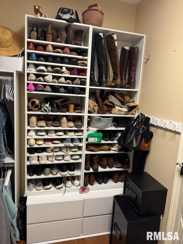 view of closet