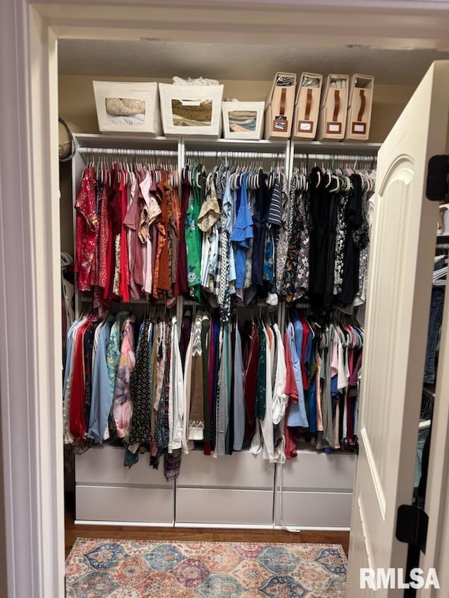 view of closet