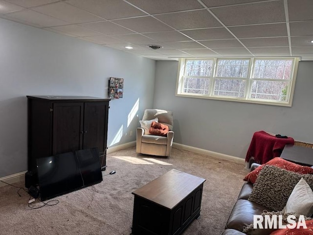 living area featuring a drop ceiling, baseboards, and carpet floors