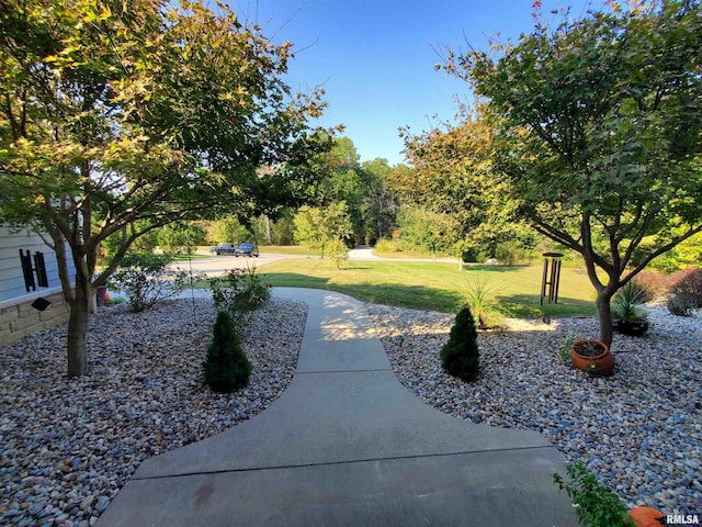 view of community featuring a yard