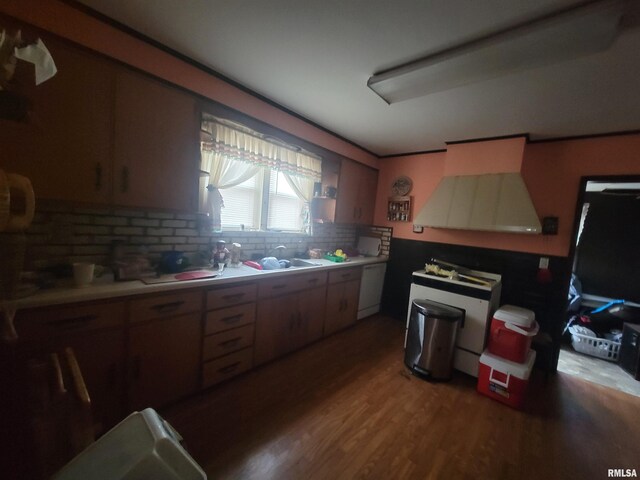 905 W Monroe St, Herrin, IL 62948 - kitchen featuring tasteful backsplash, light countertops, a sink, wood finished floors, and dishwasher