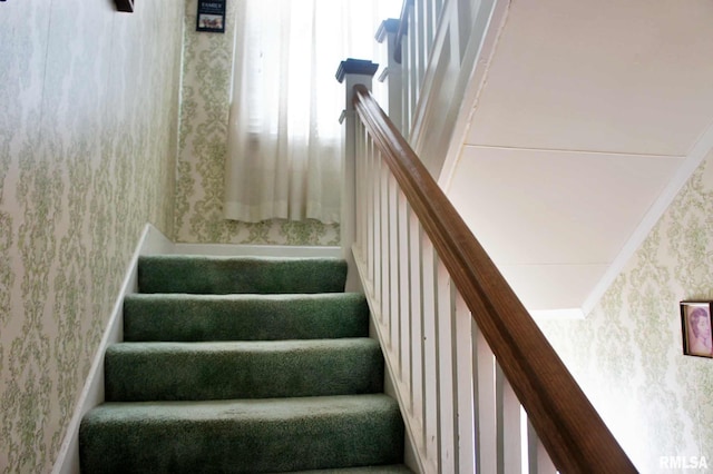 stairway with wallpapered walls