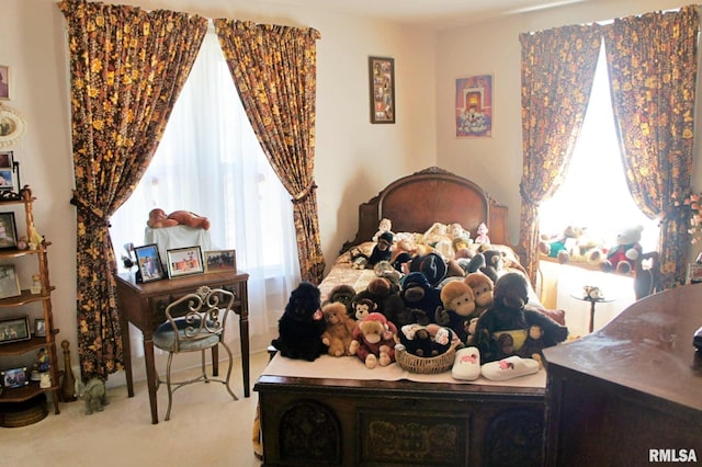 bedroom with carpet floors