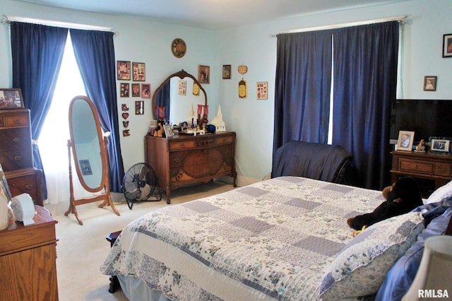 bedroom featuring carpet