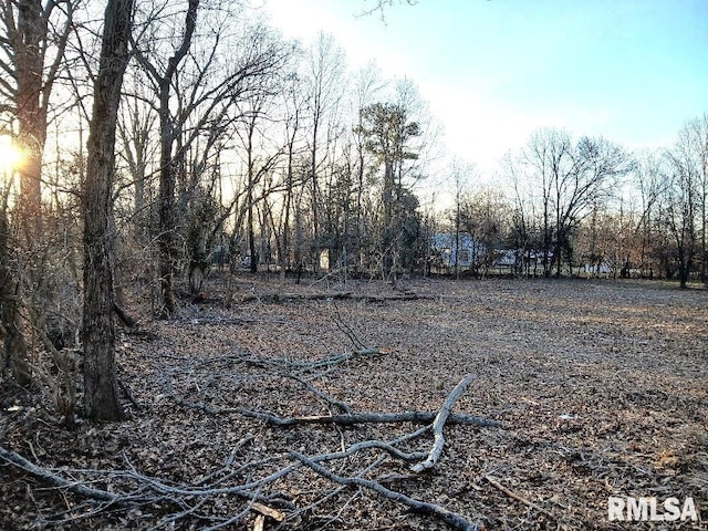 Listing photo 3 for TBD Bloomington Rd, Marion IL 62959