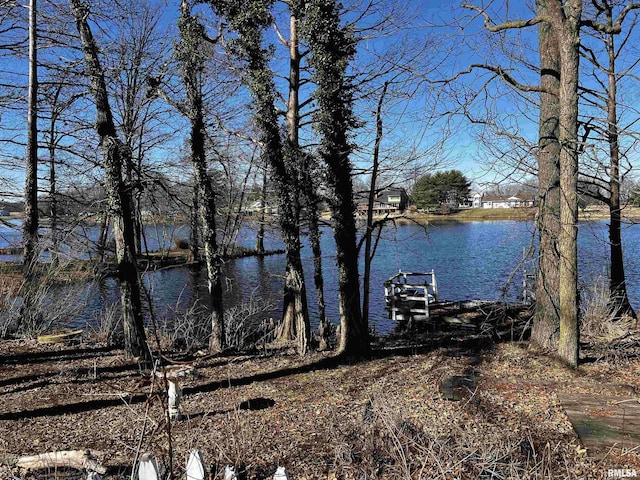 exterior space with a boat dock