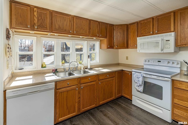 kitchen featuring white appliances, brown cabinets, dark wood-style flooring, light countertops, and a sink