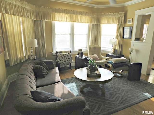 living area featuring crown molding and wood finished floors