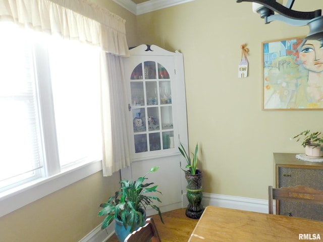 interior space featuring crown molding, baseboards, and wood finished floors