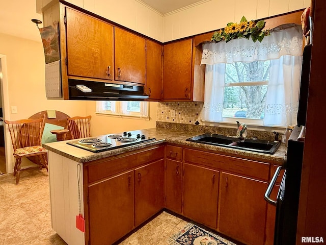 kitchen featuring electric cooktop, brown cabinets, a peninsula, under cabinet range hood, and a sink