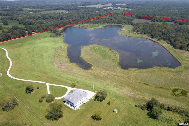 drone / aerial view with a water view and a view of trees