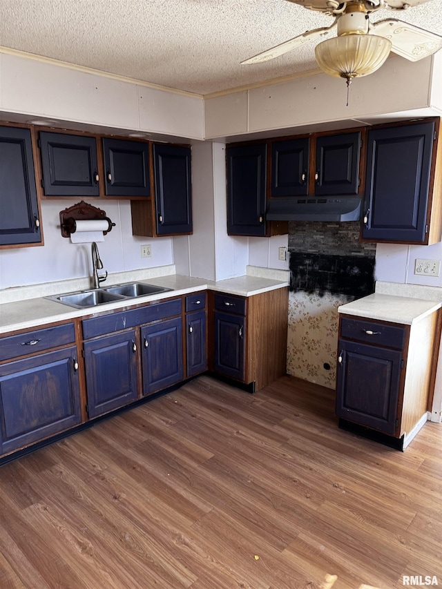 kitchen with blue cabinets, under cabinet range hood, a sink, and wood finished floors