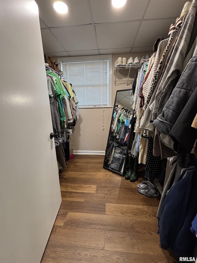 spacious closet with a drop ceiling and wood finished floors