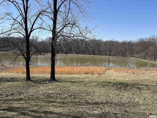 4765 Kimmel Bridge Rd, Murphysboro, IL 62966 - photo 4