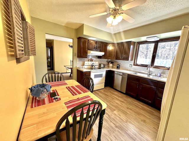 kitchen featuring a sink, under cabinet range hood, light countertops, electric stove, and stainless steel dishwasher