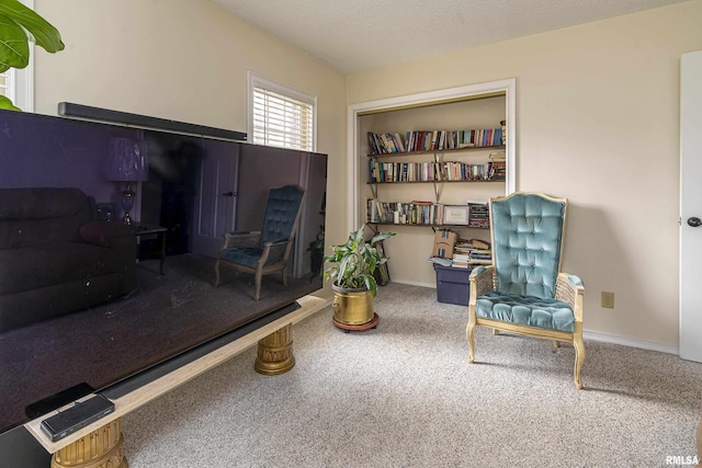 sitting room featuring baseboards, carpet floors, and a textured ceiling