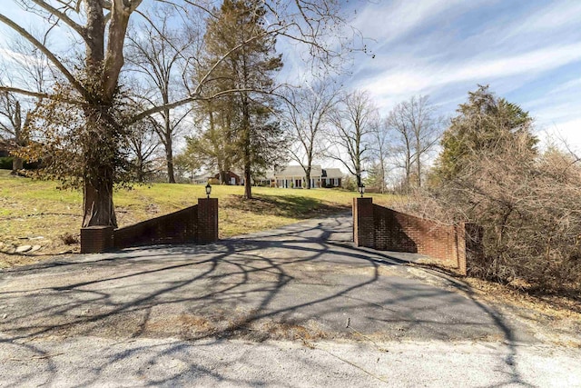 view of street featuring a gate and driveway