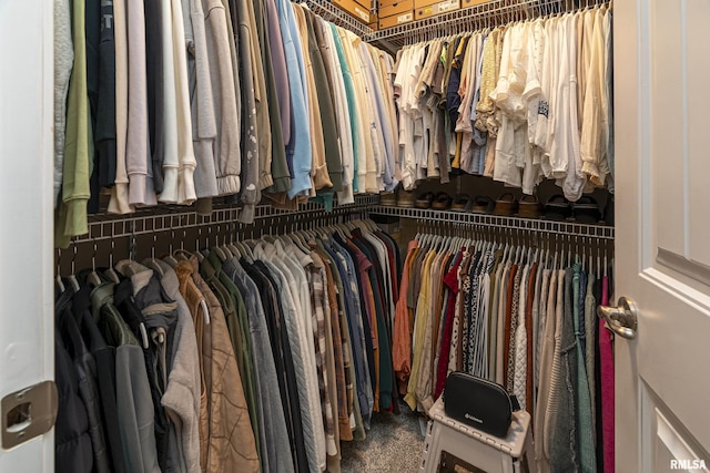 view of spacious closet