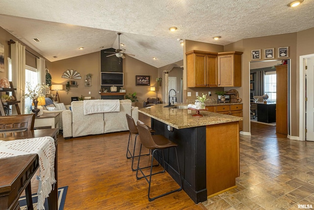 kitchen with vaulted ceiling, a healthy amount of sunlight, open floor plan, and a sink