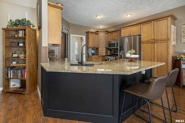 kitchen with a sink, stainless steel appliances, a peninsula, and dark wood-style floors