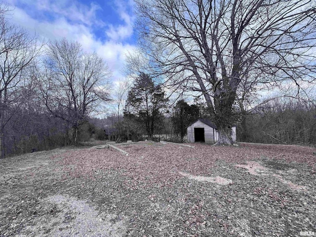 view of yard with an outbuilding