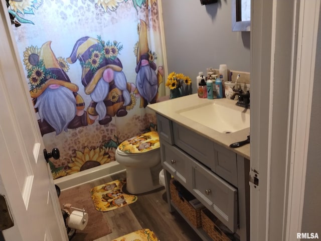 bathroom featuring vanity, toilet, and wood finished floors