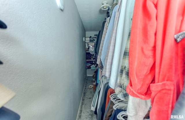 spacious closet featuring carpet flooring