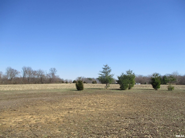 view of yard with a rural view