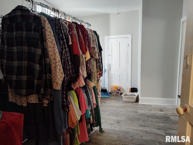 407 N Ohio St, Mound City, IL 62963 - walk in closet with wood finished floors