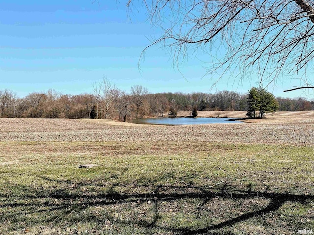 view of yard with a water view and a view of trees