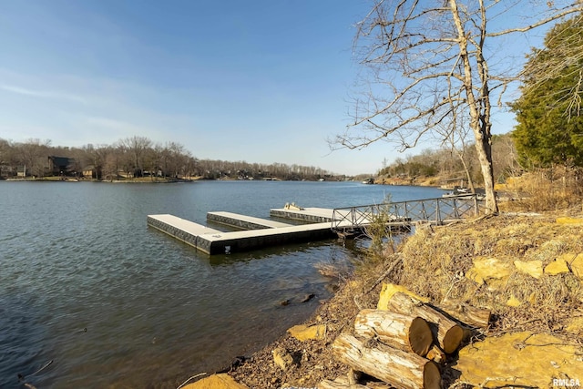 dock area with a water view