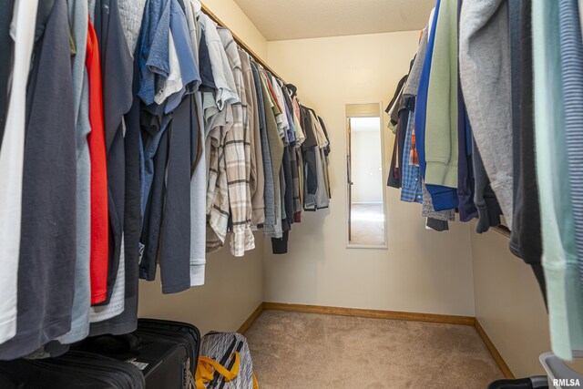 walk in closet with carpet floors