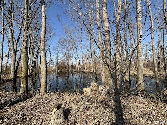 view of water feature with a forest view