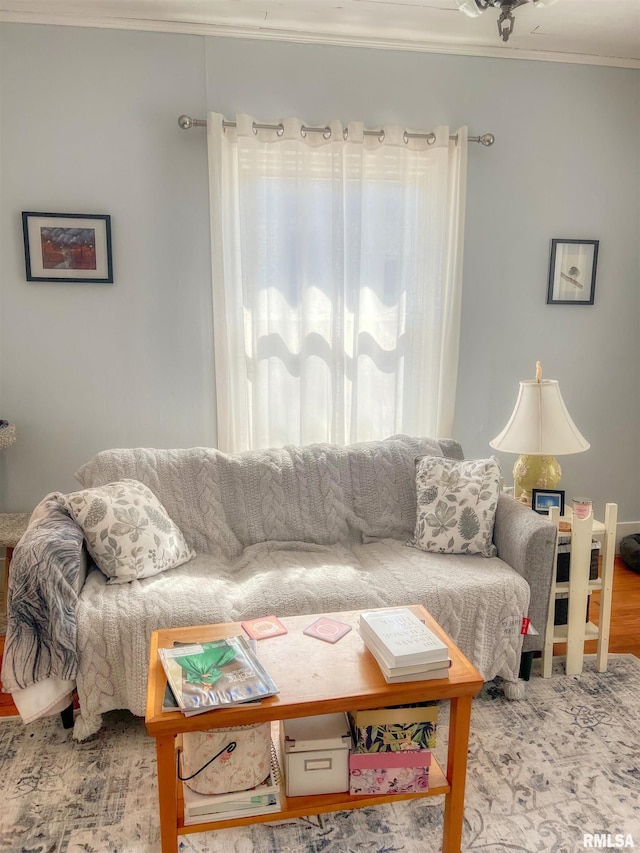 living room featuring wood finished floors and ornamental molding