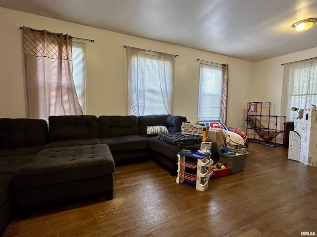 living room featuring wood finished floors