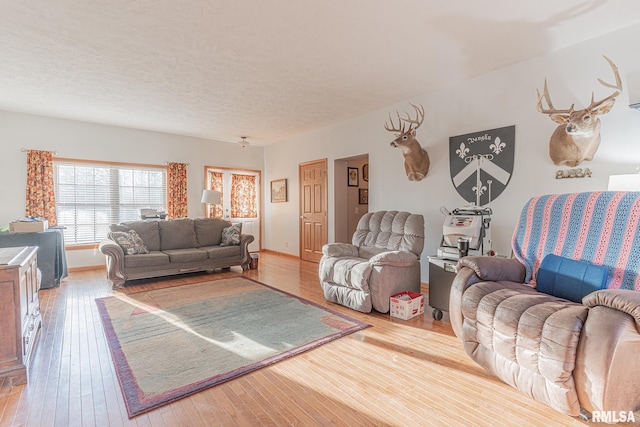 2814 Chouteau Ave, Odin, IL 62870 - living area featuring baseboards, a textured ceiling, and hardwood / wood-style floors