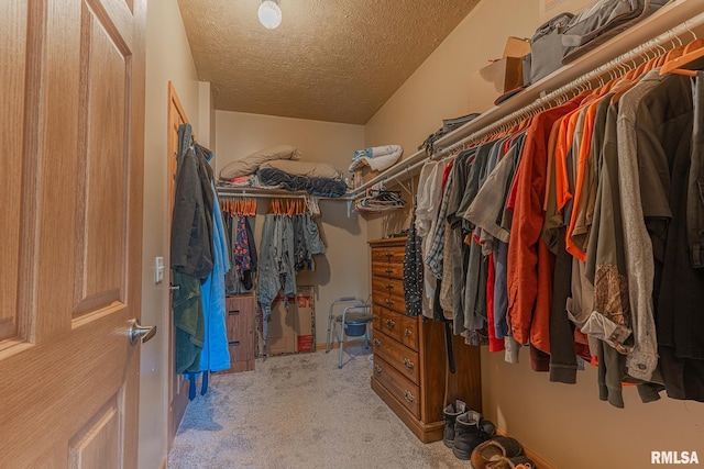 2814 Chouteau Ave, Odin, IL 62870 - walk in closet with carpet floors