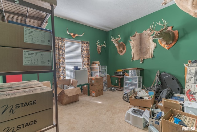 2814 Chouteau Ave, Odin, IL 62870 - interior space featuring carpet floors