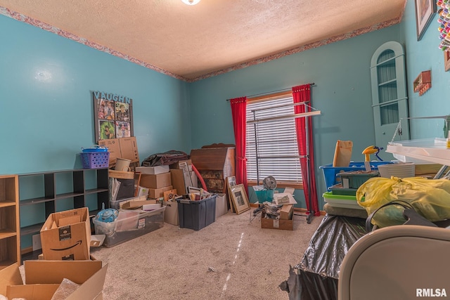 2814 Chouteau Ave, Odin, IL 62870 - interior space featuring carpet flooring and a textured ceiling