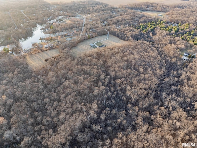 2814 Chouteau Ave, Odin, IL 62870 - aerial view featuring a wooded view
