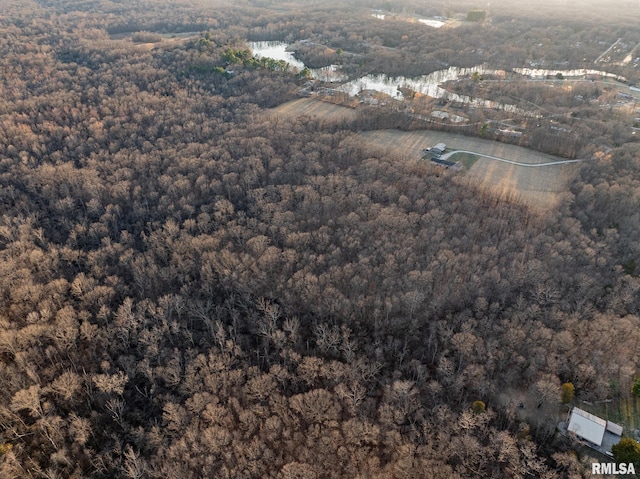 2814 Chouteau Ave, Odin, IL 62870 - aerial view with a forest view