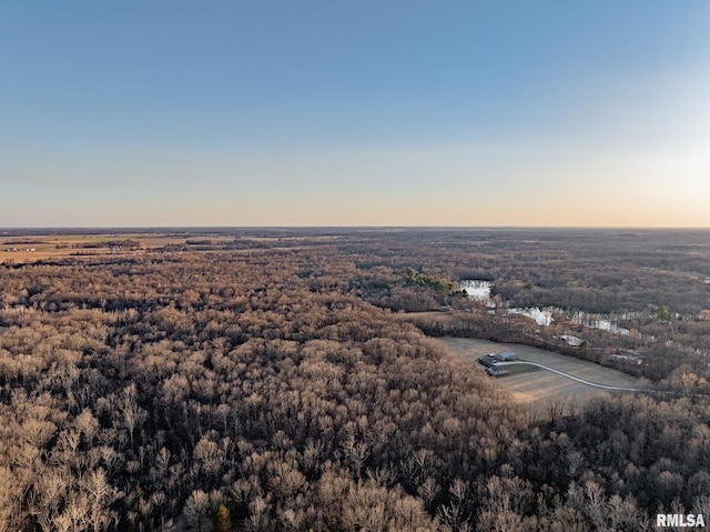 2814 Chouteau Ave, Odin, IL 62870 - aerial view at dusk featuring a forest view