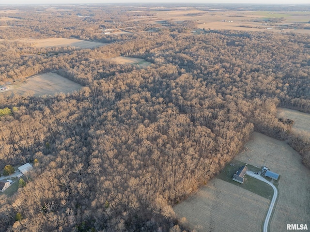 2814 Chouteau Ave, Odin, IL 62870 - birds eye view of property featuring a view of trees