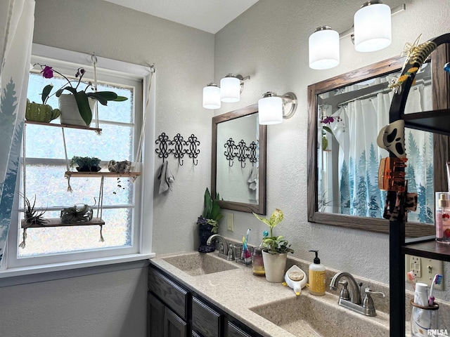 bathroom featuring a sink, double vanity, and a textured wall