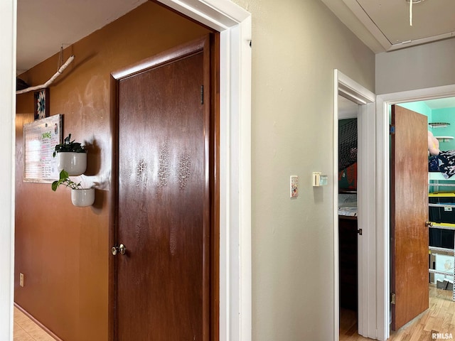 hallway featuring attic access