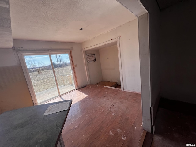 interior space with hardwood / wood-style floors and a textured ceiling